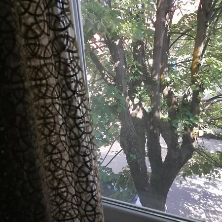 Apartmani 15 采蒂涅 外观 照片